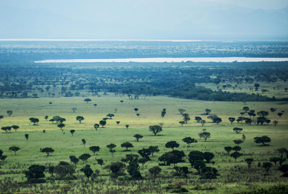 Enjoy the beauty of Queen Elizabeth National Park